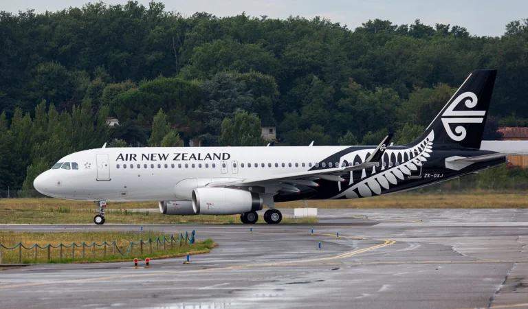 Air New Zealand Flight Diverted to Wellington Amid Unruly Passenger